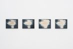 Lisa Oppenheim contemporary artist