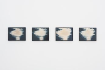 Lisa Oppenheim contemporary artist