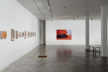 Contemporary art exhibition Judy Darragh Kiss the Ground at Two Rooms Auckland New Zealand