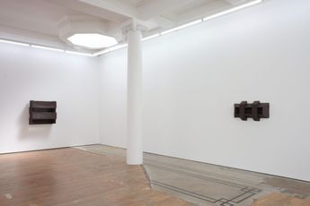 Contemporary art exhibition Dan Arps The Floral Maze at Lett Thomas Karangahape Road New Zealand