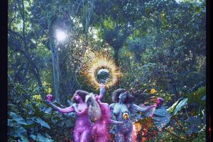 David Lachapelle