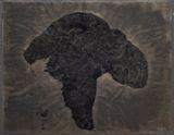 Hundred Layers of Ink For Bada 13 by Yang Jiechang contemporary artwork painting
