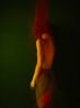 The Woman Next Door -01- by Xenia Fuentes contemporary artwork Painting