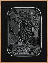 Zoofolium 04 by Golan Levin contemporary artwork drawing nft works on paper