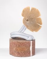 Curiosity 3 by Caroline Rothwell contemporary artwork sculpture