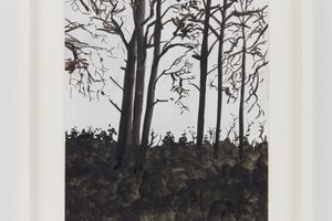 John Hodgkinson