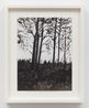 Untitled by John Hodgkinson contemporary artwork Works on Paper