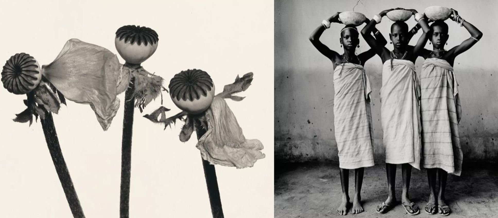 Irving Penn
