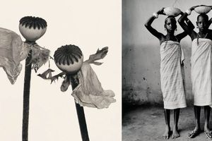 Irving Penn