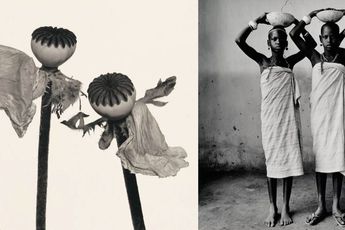 Contemporary art exhibition Irving Penn Irving Penn Kinship Curated by Hank Willis Thomas at Pace Gallery 508  510 West 25th New york United States