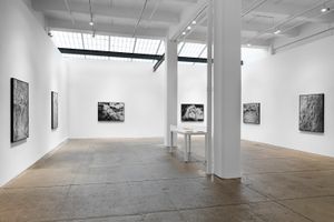 Ana Mendieta