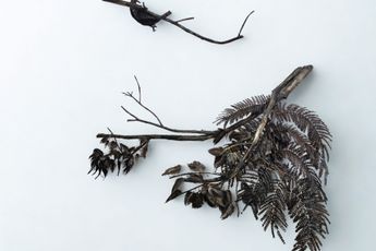Sakshi Gupta contemporary artist