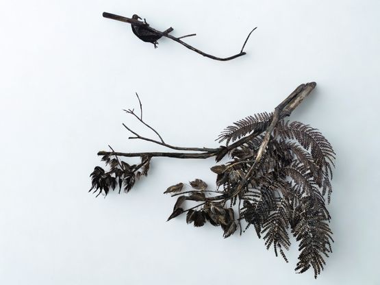 Untitled by Sakshi Gupta contemporary artwork Sculpture