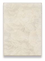 Veils  Turbinaria Reniformis by Julian Charriere contemporary artwork photography print