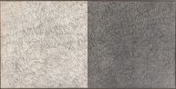 Stereo Imprint by Michelle Stuart contemporary artwork Works on Paper