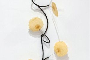 Fay Ming