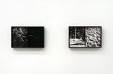 Necromass by Luca Campestri contemporary artwork print