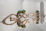 Recursivity 3 by Agnieszka Kurant contemporary artwork sculpture