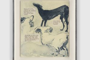 Sue Williamson