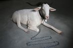 Same time tomorrow by Abdul-Rahman Abdullah contemporary artwork Sculpture