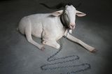 Same time tomorrow by Abdul-Rahman Abdullah contemporary artwork sculpture