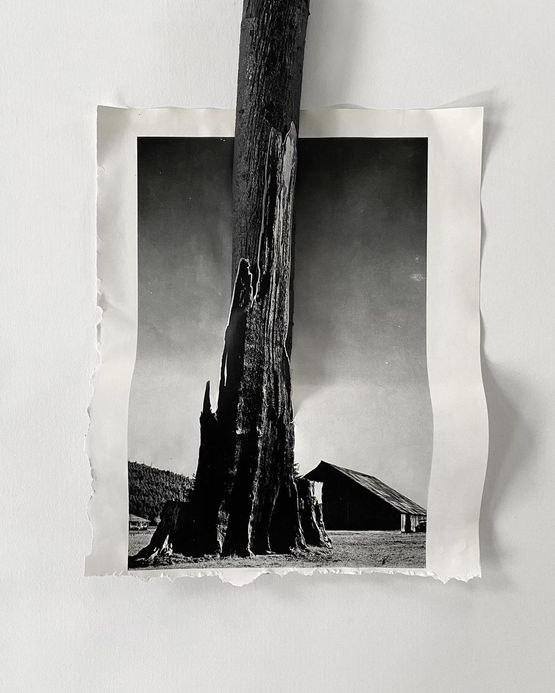 From the series Unstable Monuments by Lucia Tallova contemporary artwork Works on Paper