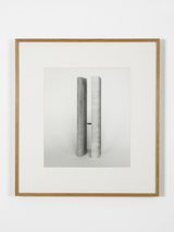 Extensions Elaboration No. 1 by Becky Beasley contemporary artwork photography