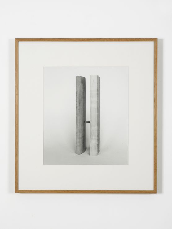 Extensions Elaboration No. 1 by Becky Beasley contemporary artwork Photography