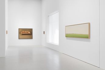 Contemporary art exhibition Israel Hershberg IMAGO at Galeria Plan B Berlin Germany