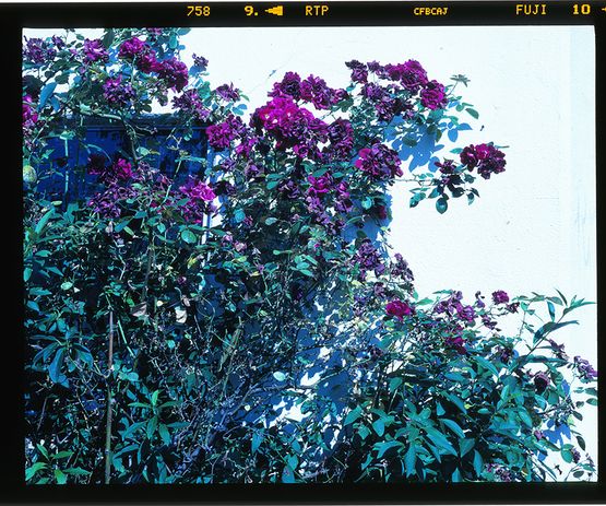 Nakameguro Tokyo by Chikashi Suzuki contemporary artwork Photography