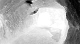 Heartbeat Birds Nest by Chen Xiaoyi contemporary artwork moving image