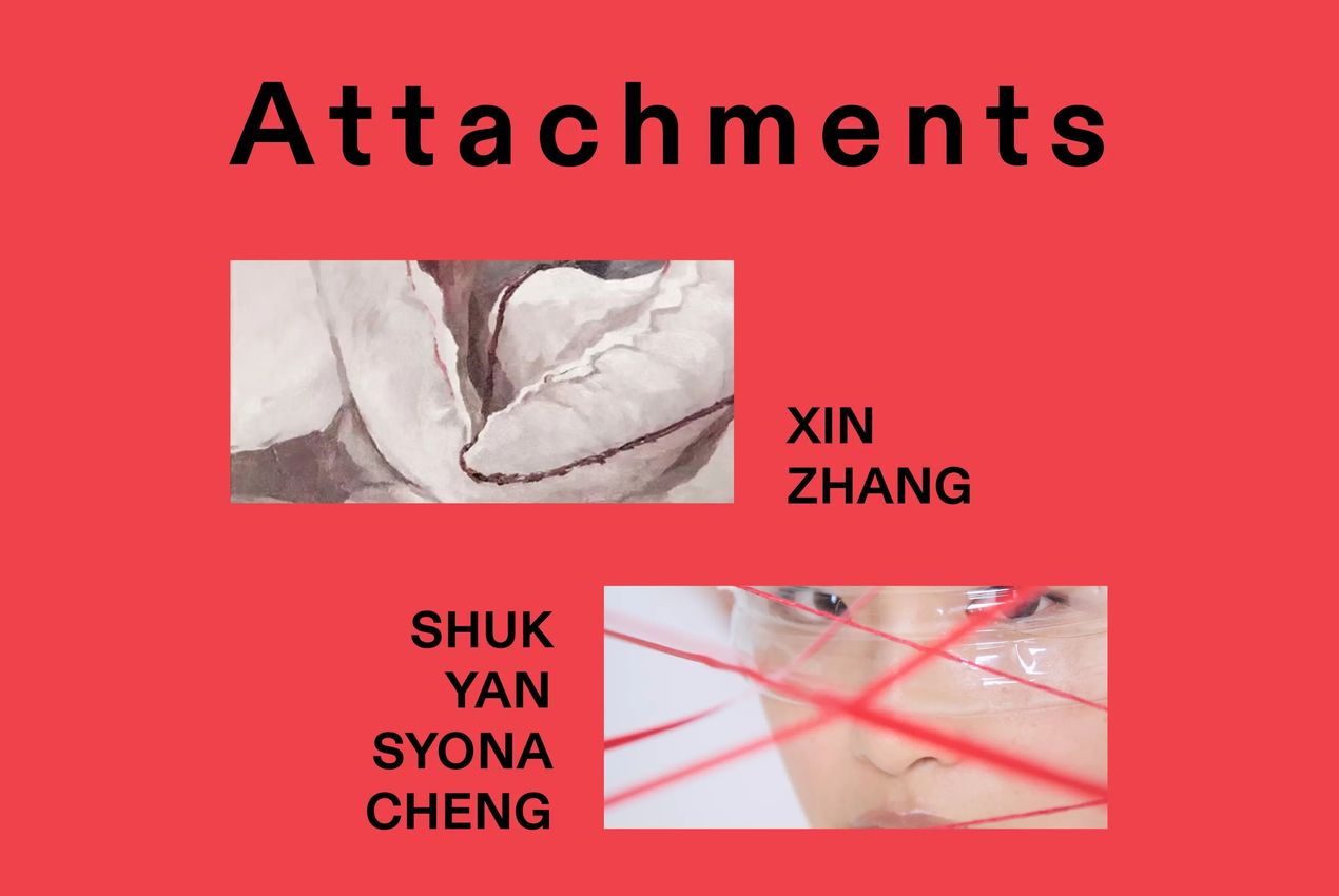 Shuk Yan Syona Cheng, Zhang Weixing