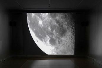 Contemporary art exhibition Taro Shinoda Homo sapiens sapiens at Taka Ishii Gallery Tokyo Japan
