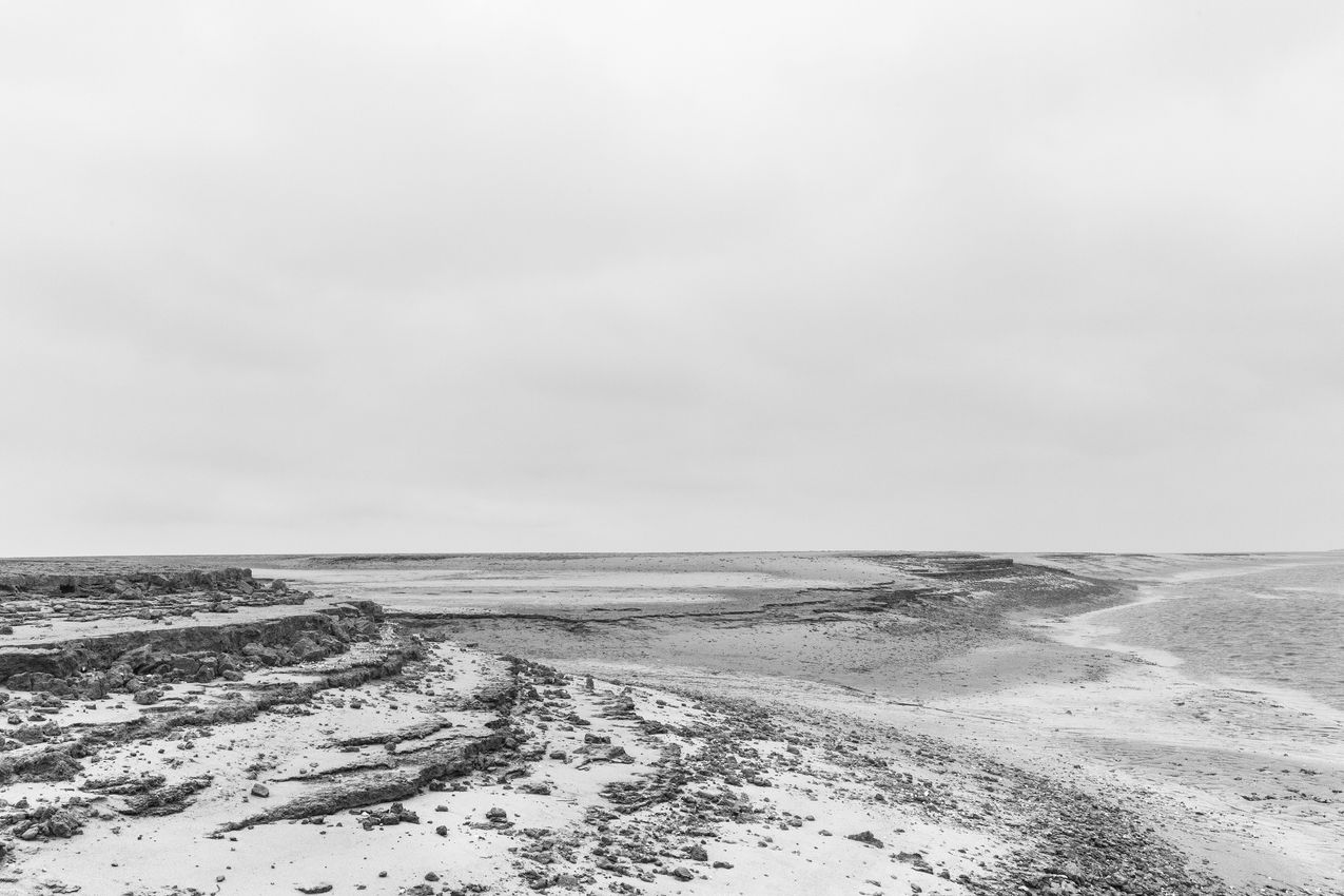 ERIC PILLOT