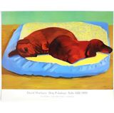 Dog 43 by David Hockney contemporary artwork print works on paper