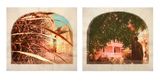 Plantation Diptych No. 6 by Tracey Moffatt contemporary artwork works on paper