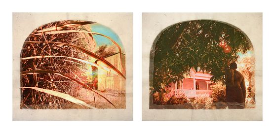 Plantation Diptych No. 6 by Tracey Moffatt contemporary artwork Works on Paper