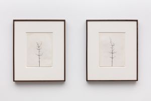 Peter Liversidge