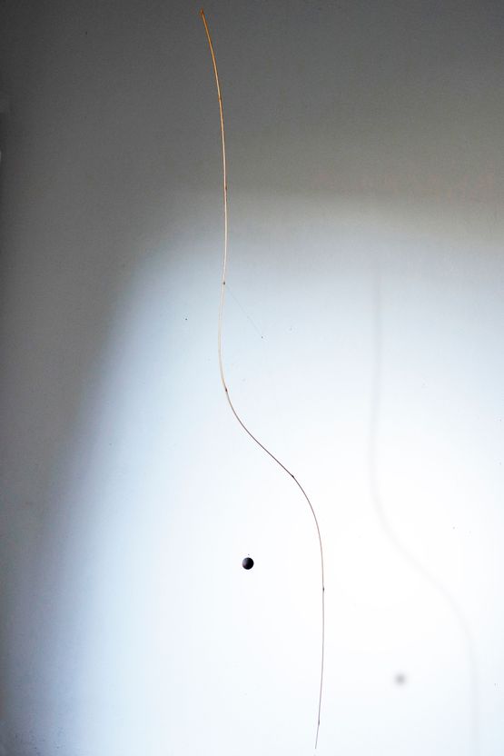 Less 07 by Laurent Martin Lo contemporary artwork Sculpture