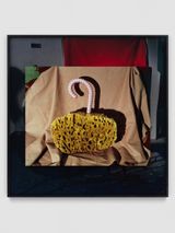 The Gong Show by Lucas Blalock contemporary artwork sculpture photography