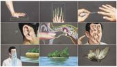 The Birth of the Word to the Demise of the Bird by Wang Haiyang contemporary artwork Moving Image