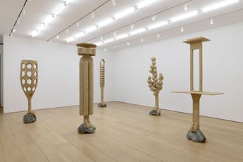 Contemporary art exhibition Oren Pinhassi Losing Face at Lehmann Maupin 501 West 24th Street New York United States