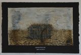 Lepidium solandri by Michael Shepherd contemporary artwork works on paper