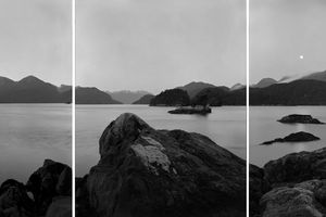 Mark Adams