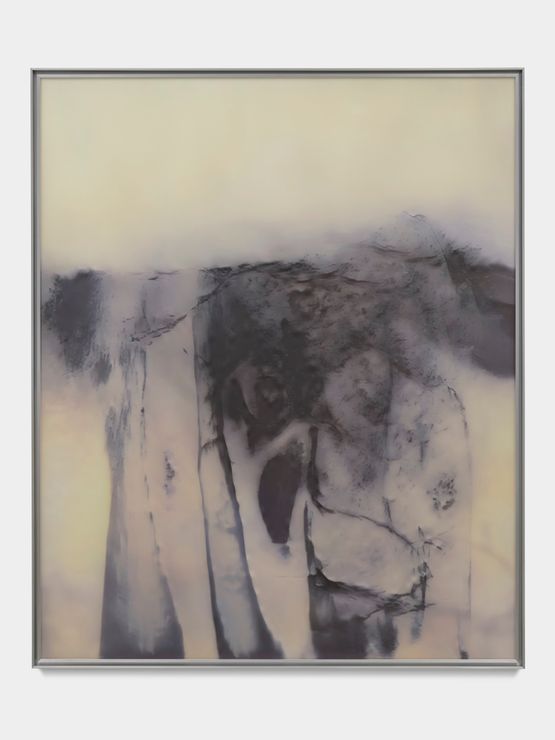 RWR0WRK by Anicka Yi contemporary artwork Painting
