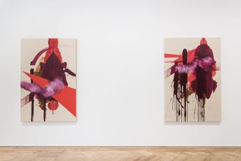 Contemporary art exhibition Elizabeth Neel Limb after Limb at Pilar Corrias Savile Row United Kingdom