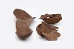 De natureza viva by Marcelo Silveira contemporary artwork Sculpture
