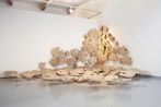 Shadow Garden by Manisha Parekh contemporary artwork Installation