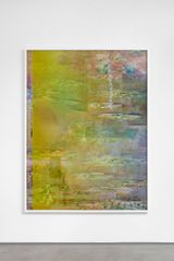 Nymphaea tuberosa by Michele Abeles contemporary artwork photography