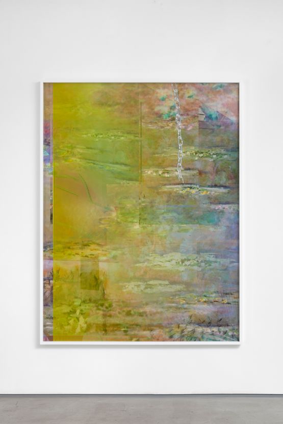 Nymphaea tuberosa by Michele Abeles contemporary artwork Photography